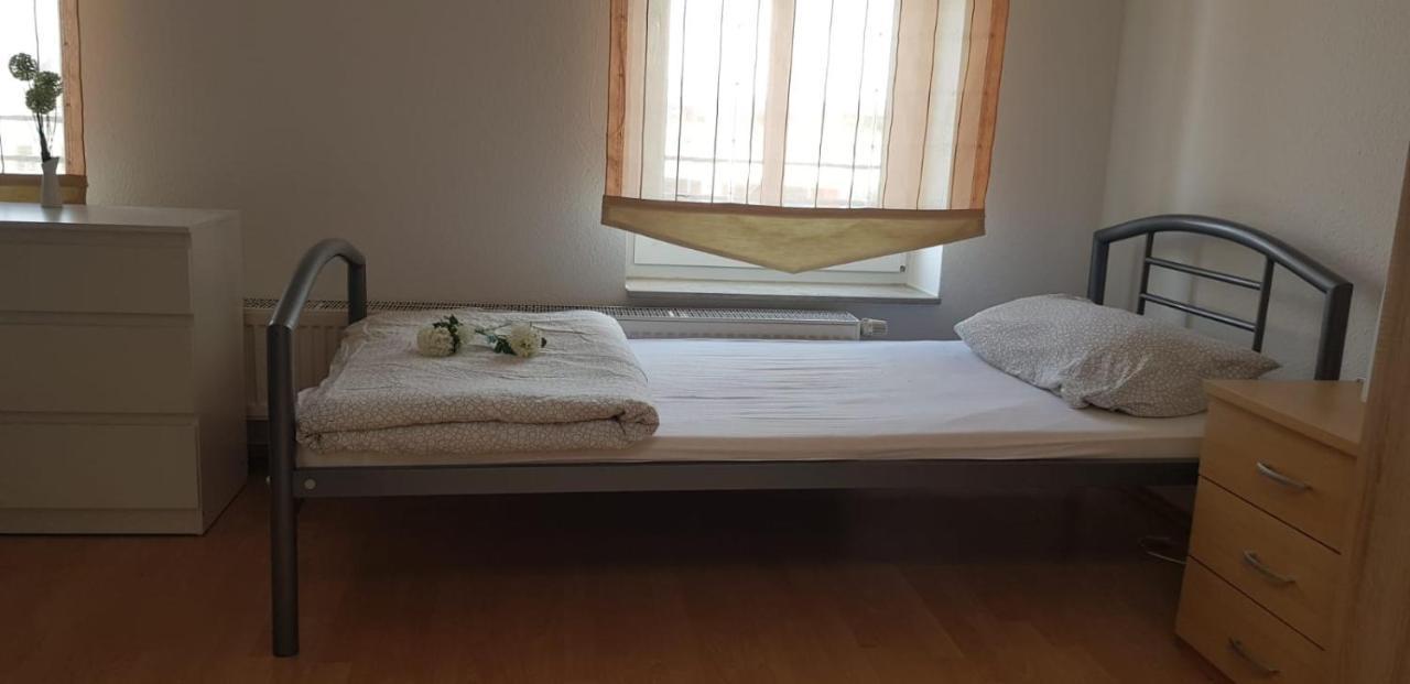 Gaestewohnung 4-Raum Wohnung Fuer 2-8 Personen Zwickau Extérieur photo